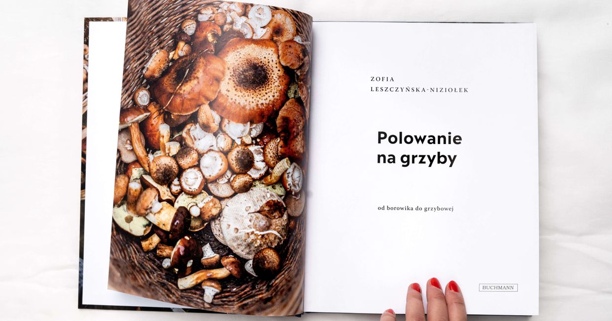 Przewodnik po grzybobraniu