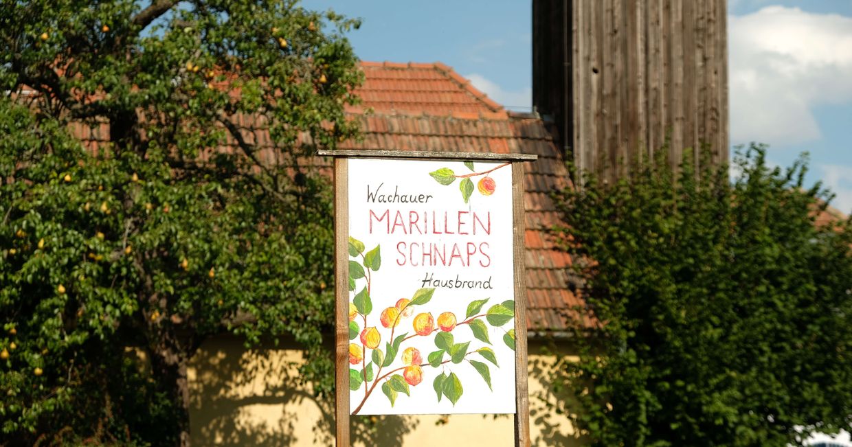 Dolina Wachau (fot. Alksander Szojer)