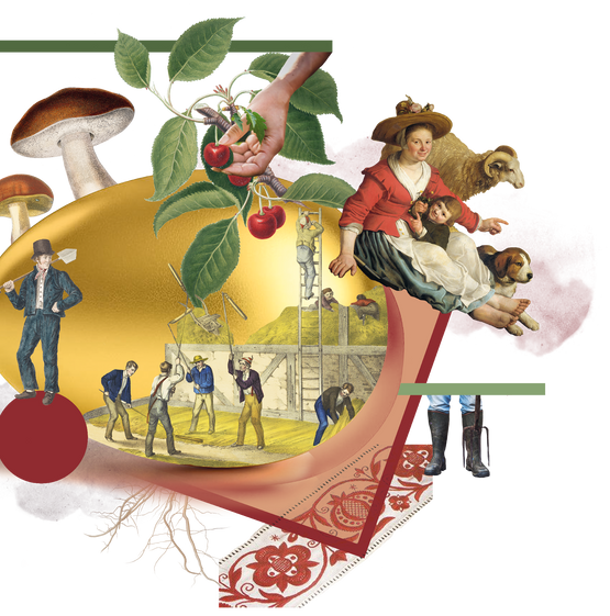 Ilustracja konkursu KUKBUK Poleca 2020