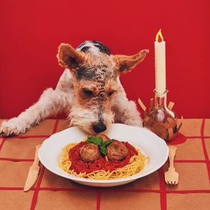 Dania z filmów, przepisy na jedzenie z filmów (fot. materiały prasowe)