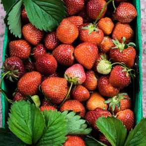 Truskawki w kobiałce (fot. Monika Grabkowska)