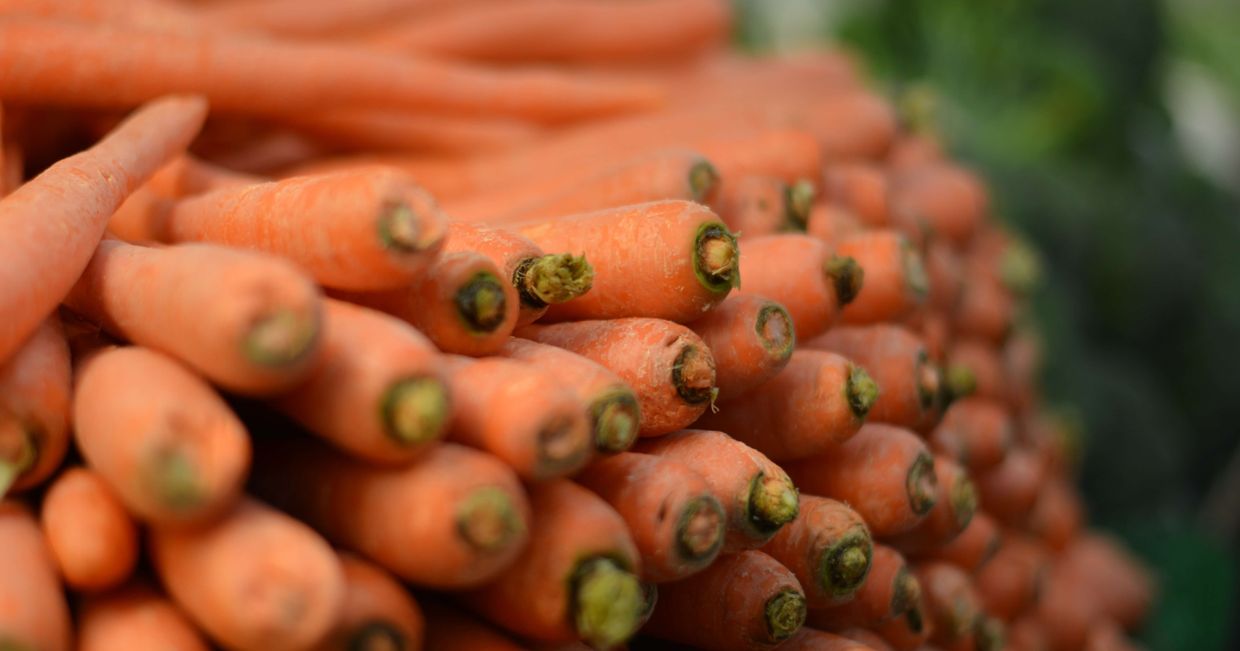 Uprawy marchwi – czy warzywa korzeniowe mają dużo pestycydów? (fot. Irina Blok / unsplash.com)