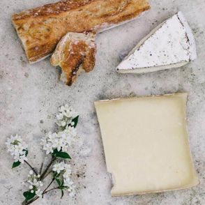 Sery pleśniowe i długodojrzewające z bagietką (fot. Alice Donovan Rouse / unsplash.com)