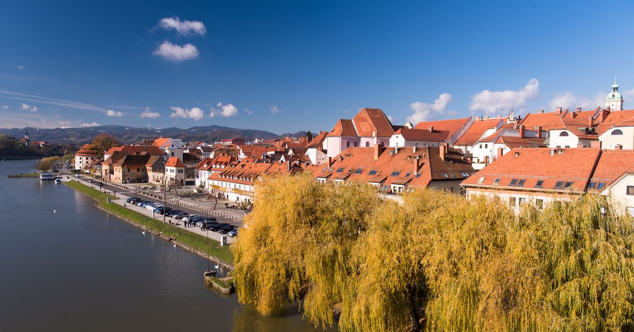 Aukcja WOŚP, na której można wylicytować wino ze Starej Winorośli – widok na Maribor w Słowenii (fot. Iztok Media / slovenia.info )