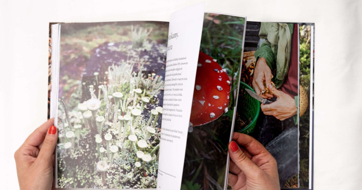 Bogato ilustrowana książka „Polowanie na grzyby”