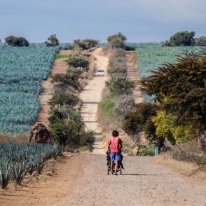 Ola Synowiec i Arek Winiatorski