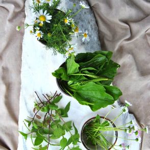 które rośliny z łąk są jadalne, czy rumianek jest jadalny