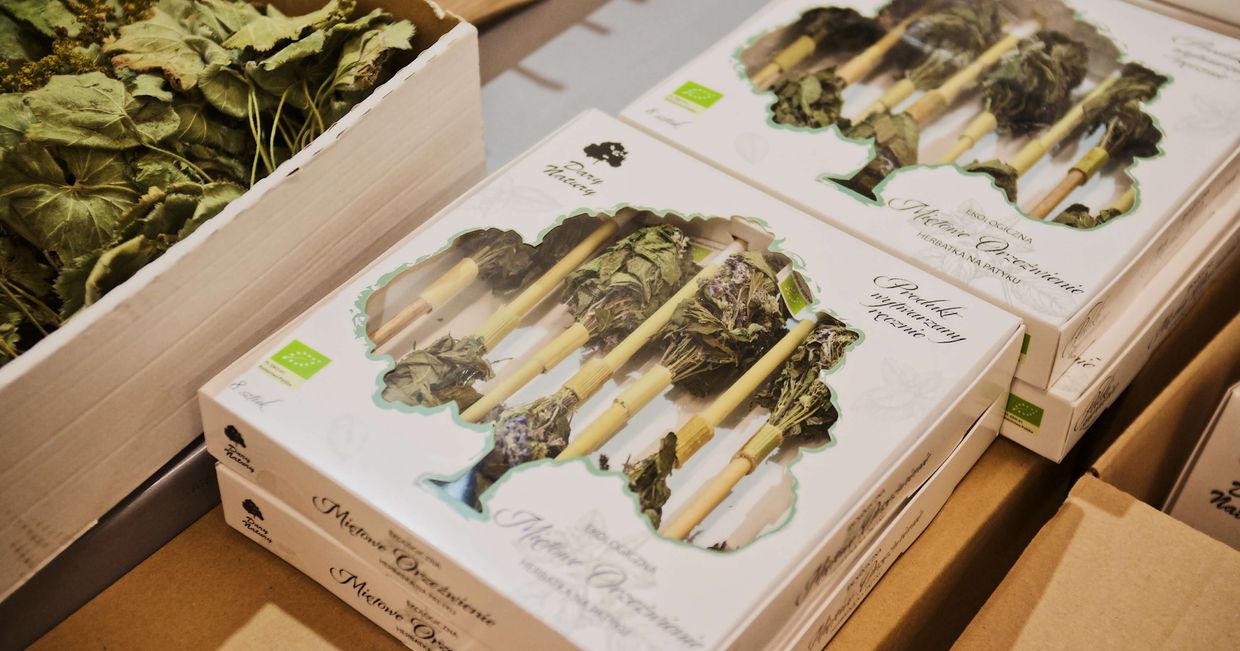 Produkcja herbat ziołowych - dary natury (fot. Zuza Rozek)