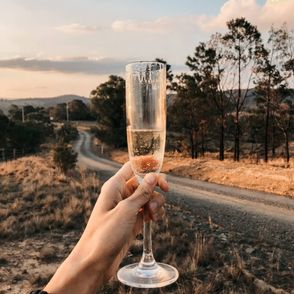 prosecco, cava i inne wino musujące (fot. Clarinta Subrata)