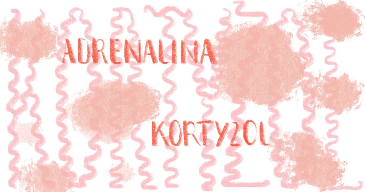 Kortyzol i adrenalina (il. Martyna Cybuch)