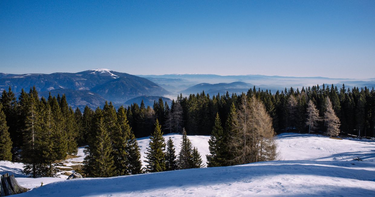 Rezerwat Przyrody w Villach (fot. Zuza Rożek)