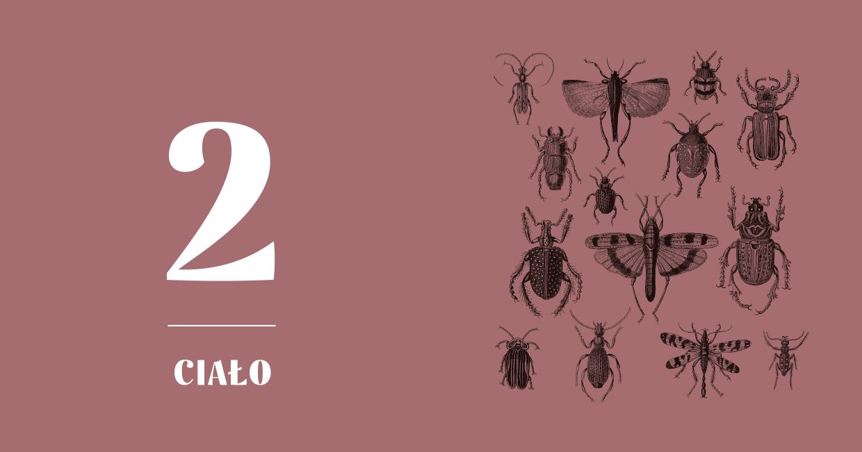 Wnętrze kwartalnika KUKBUK Jesień 2021