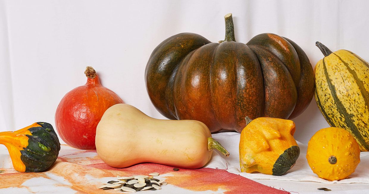 Różne rodzaje jesiennych dyń (fot. Maciek Niemojewski)