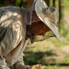 Pszczelarz (fot. Katarzyna Korza)