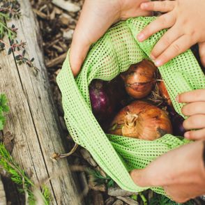Warzywa w ekologicznej siatce
