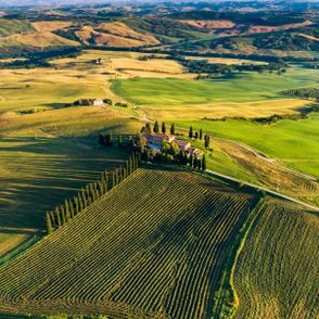 Toskańska willa i winnica z lotu ptaka (fot. Reuben Teo)