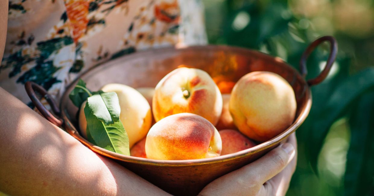 Dziewczyna trzyma miskę z brzoskwiniami (fot. Ikelly-neil)