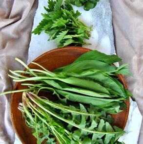 chwasty, które przydają się w kuchni