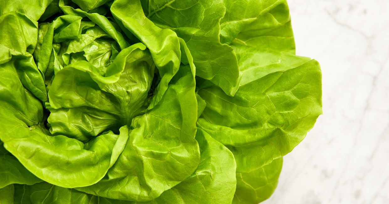 Jedzenie na upały. Co jeść w upał. Przepisy z sałatą (fot. Maciek Niemojewski)