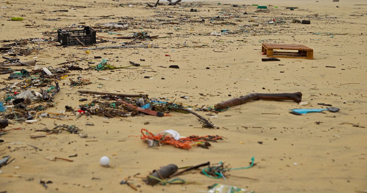 Zbiorowisko śmieci wyrzuconych przez morze, leżących na piasku (fot. Andrei Ciobanu)