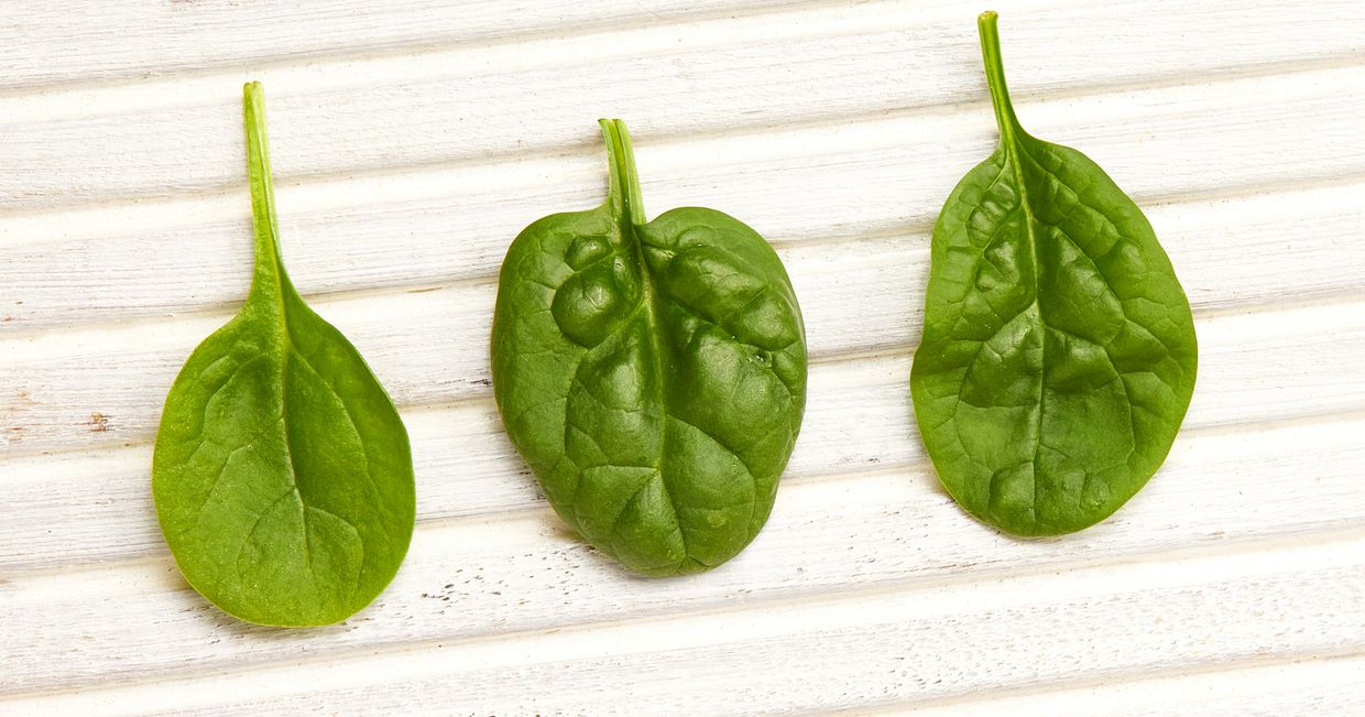 Przepisy ze szpinakiem. Jedzenie na upały. Woda w owocach i warzywach (fot. Maciek Niemojewski)