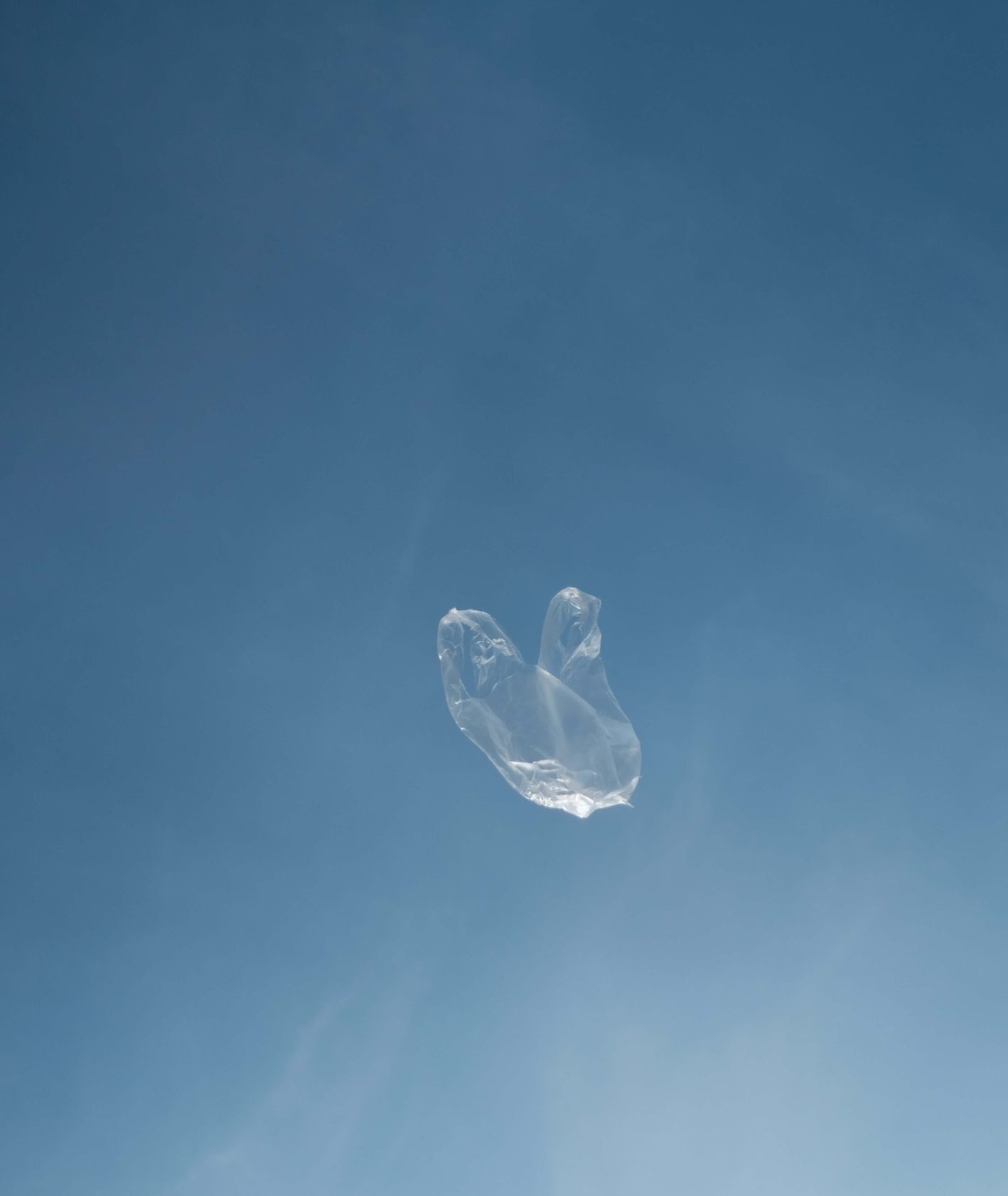 Plastikowa torba fruwająca na wietrze (fot.Paul Bence)