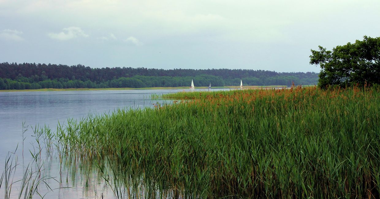 Jezioro Nidzkie Widok z pomostu koło leśniczówki (fot. Lech Darski/ Wikipedia)