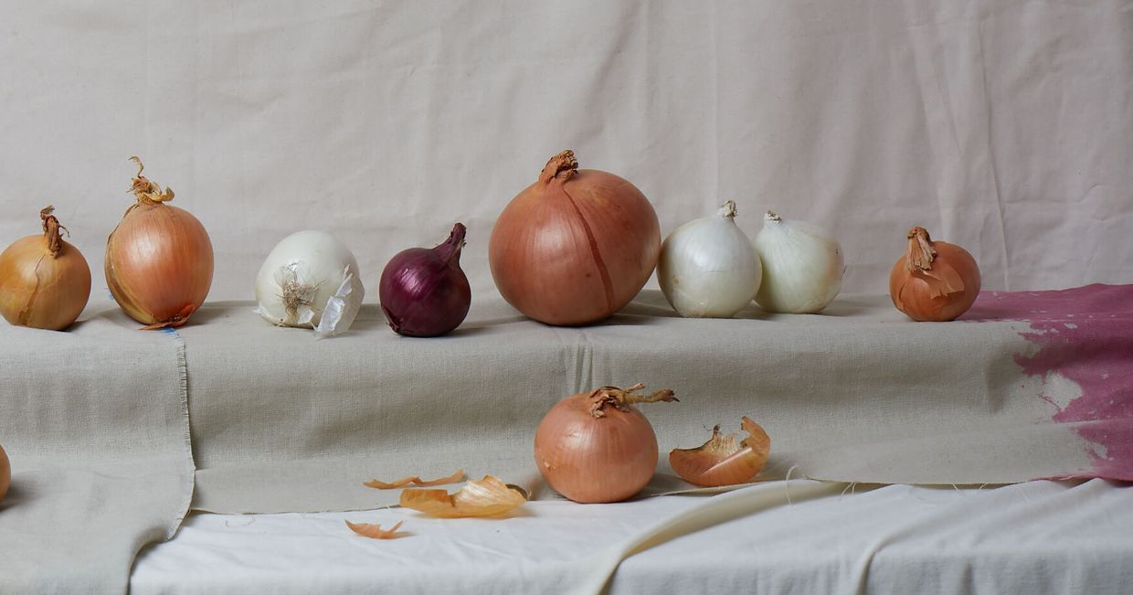 różne odmiany cebuli