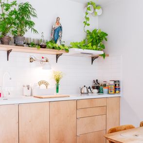 Jasna kuchnia z roślinami (fot. Michał Lichtański)