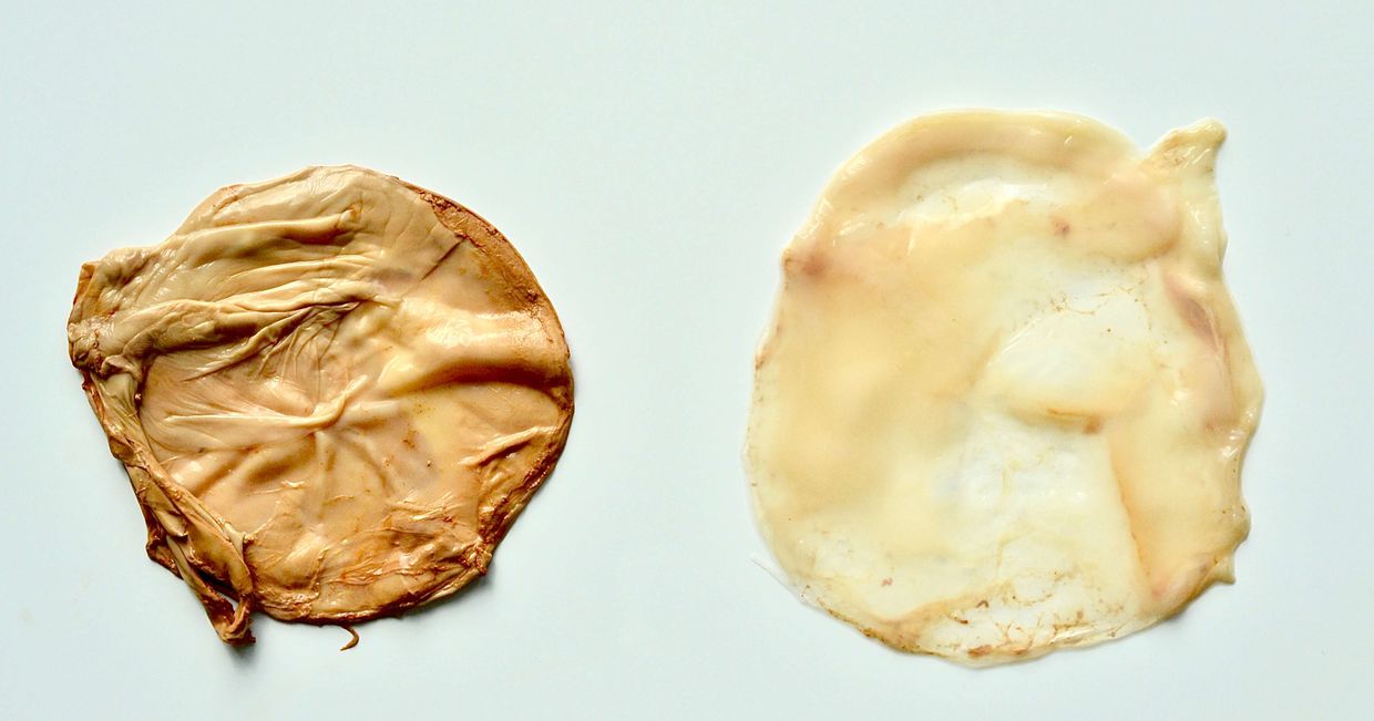 mylnie nazywane grzybami