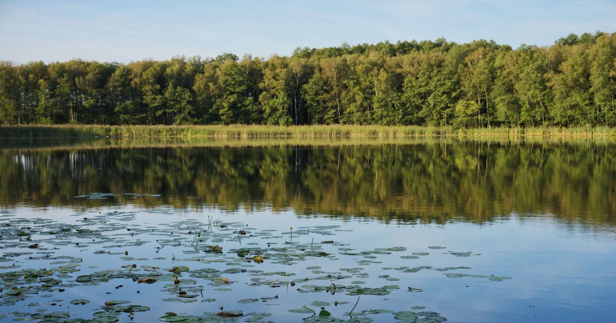 Weranda Home - kameralny hotel pod poznaniem (fot. Zuza Rożek)
