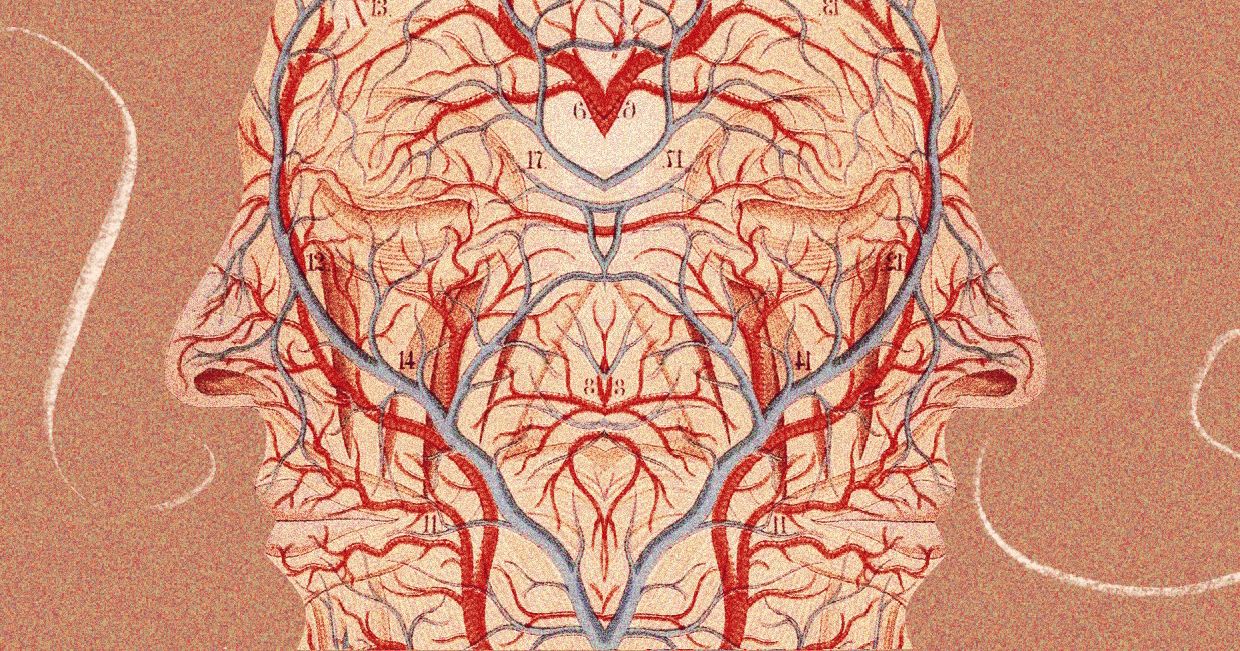 Połączenie naczyń krwionośnych (il. Martyna Cybuch)