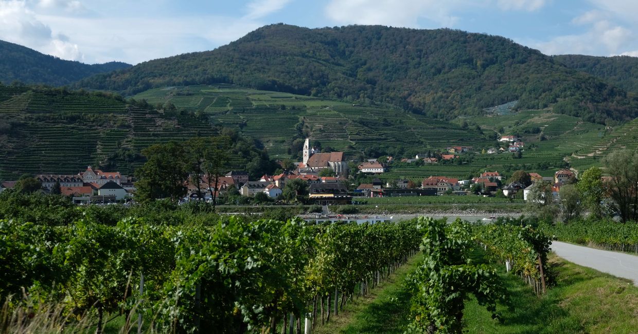 Wioski wśród winnic. (fot. Alksander Szojer)