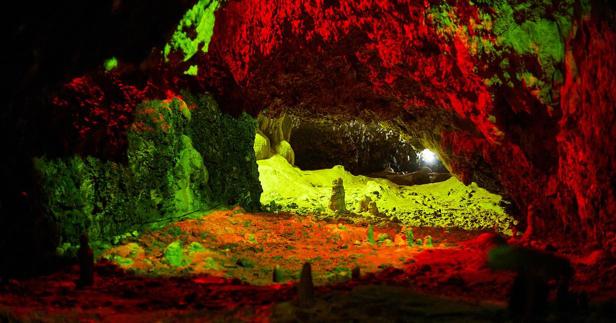 Jaskinia Nietoperzowa na Wyżynie Krakowsko-Częstochowskiej, która powstała między innymi w wyniku procesów krasowych. (fot. Maciej Niemojewski)