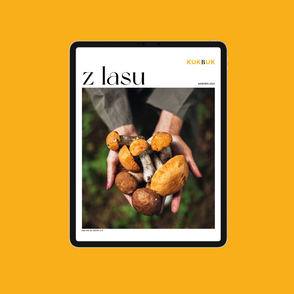 Ebook – Z LASU, okładka, kobieta trzymająca w rękach zebrane grzyby