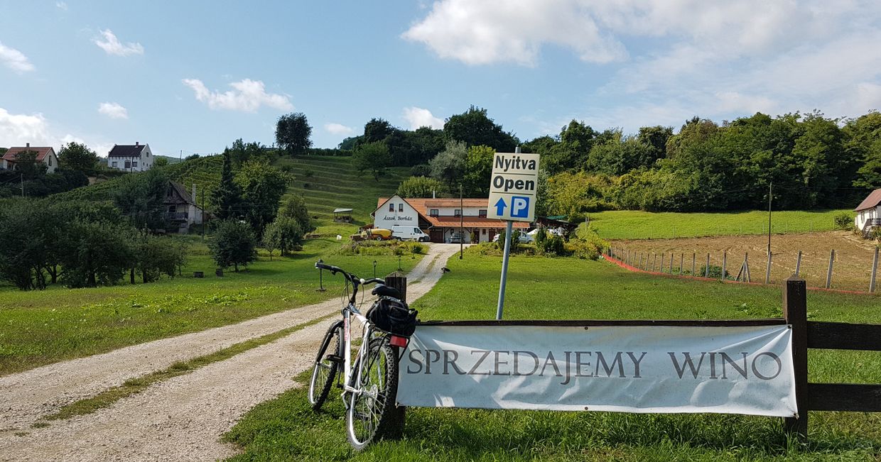 Polskojęzyczna winnica w Tokaju (fot. Aleksander Szojer)