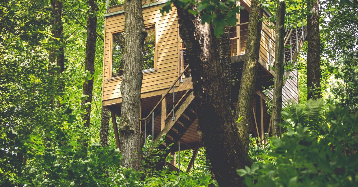 Domki na drzewach (fot. materiały promocyjne)