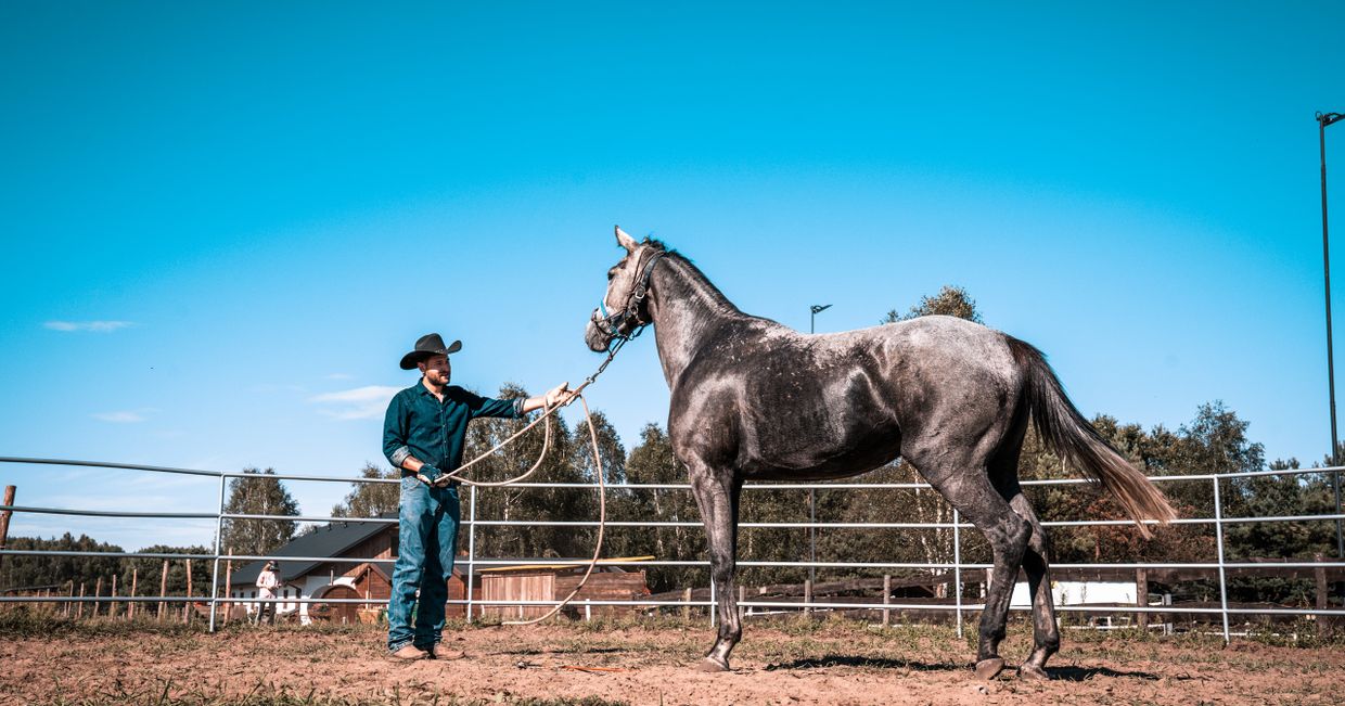 Ranczo Rosochacz (fot. JakubJędrzejczak)
