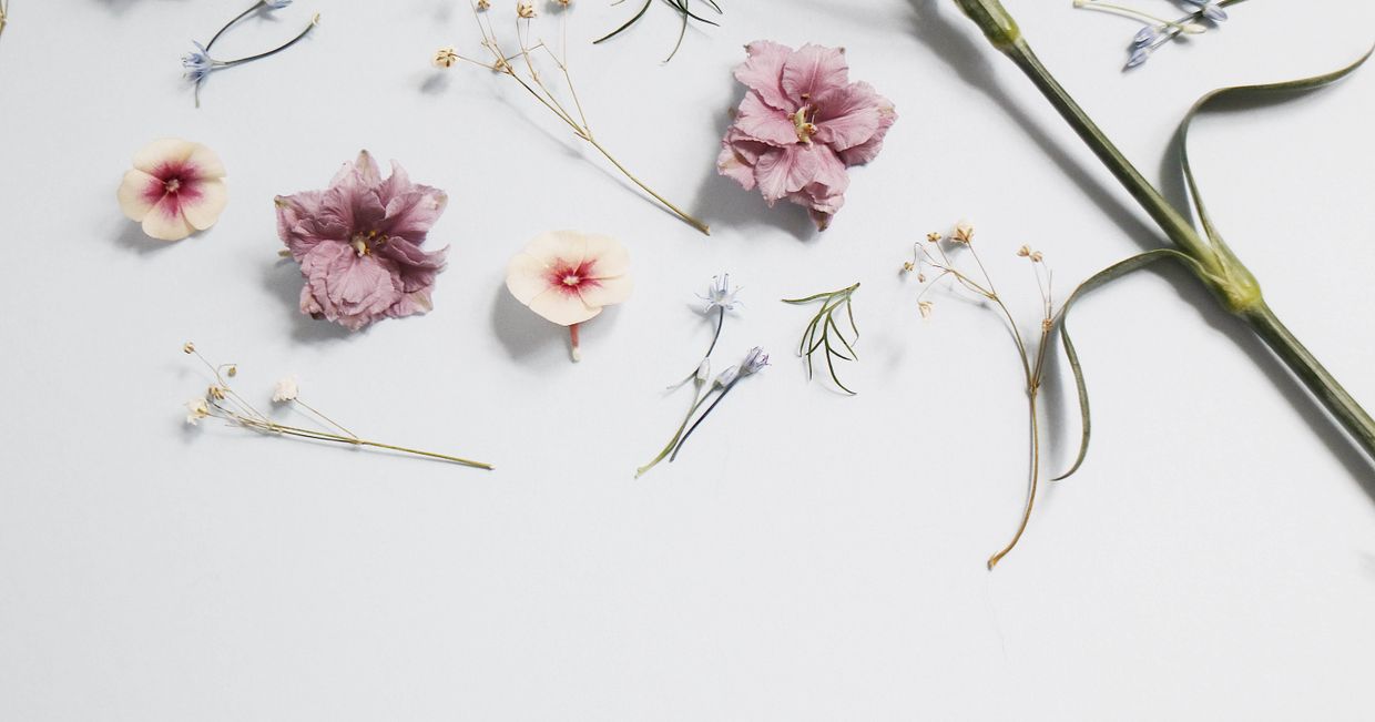 kwiaty, horoskop, horoskop kukbuk