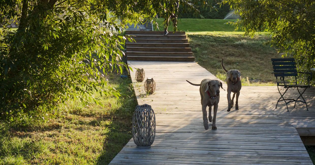 Miejsce na wesele niedaleko Poznania (fot. Zuza Rożek)