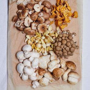 Grzyby leśne i hodowlane (fot. Maciek Niemojewski)