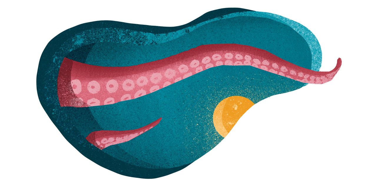 Ośmiornice na talerzu – wykorzystanie kulinarne głowonogów (il. Urszula Mierzwa)