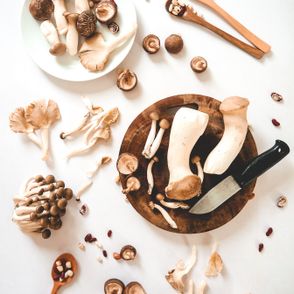 gotowanie grzybów jak ugotować świeże grzyby czas gotowania grzybów leśnych (fot. Thanh Soledas / unsplash.com)