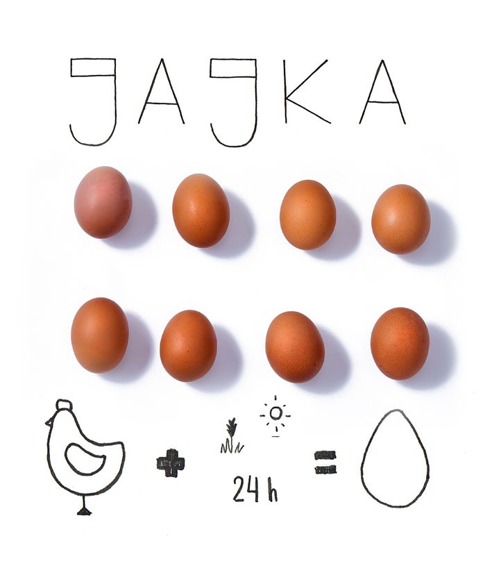 Rodzaje jajek Co znaczą numery na jajkach?