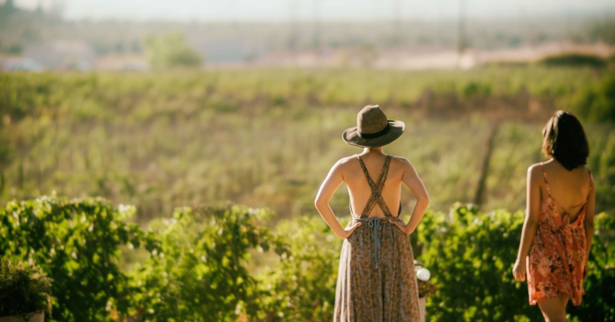 Kobiety w winnicy (fot. Armando Castillejos)