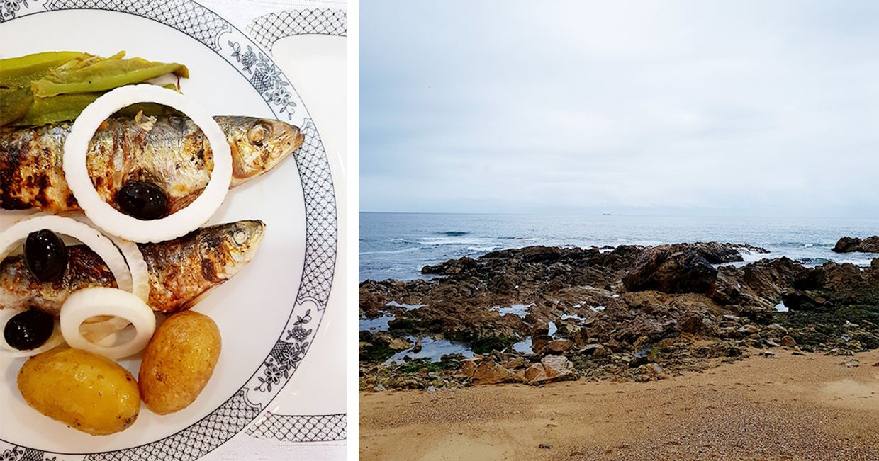 Co zjeść w Porto? Kulinarny przewodnik