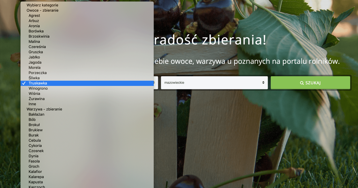 wyszukiwarka myzbieramy.pl