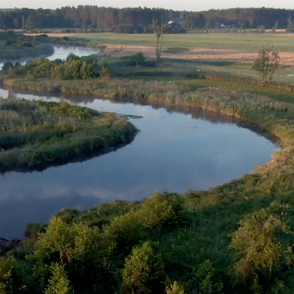 Rzeka Liwiec w okolicach Węgrowa (fot. materiały prasowe)