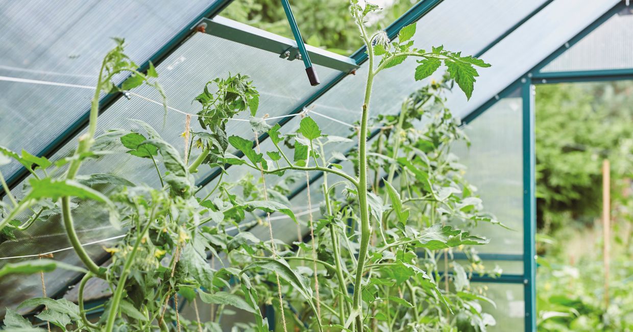 Zdjęcie z książki "Ogród na cztery pory roku" / fot. Maja Tybel