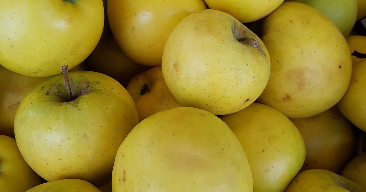 jabłka, Krakowski Makaroniarz, jabłka w cieście